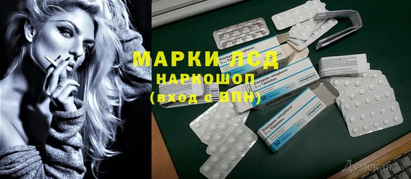 гидра Елизово