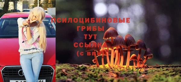 таблы Дмитров